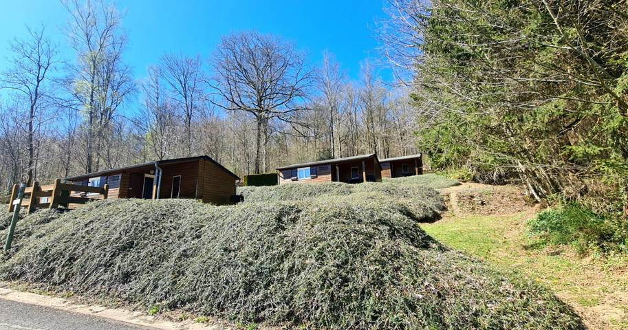 Chalet pour 4 personnes, avec jardin, animaux acceptés en Champagne-Ardenne - 3