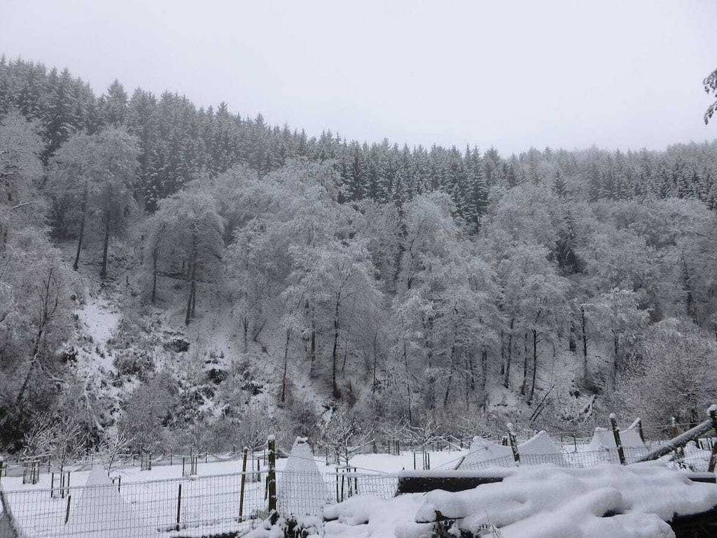 Neumühle ab April 2014! in Lutzerath, Cochem-Zell