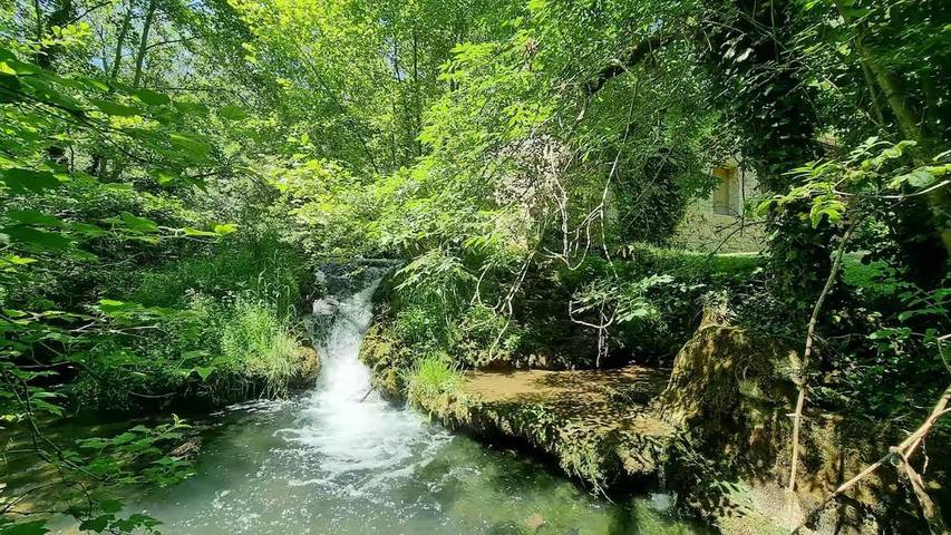 Location de vacances pour 3 personnes, avec jardin, animaux acceptés à Salvagnac-Cajarc - 3