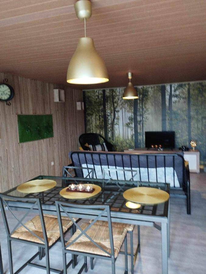 Gîte pour 3 personnes, avec jardin et vue à Sainte-Ode - 4