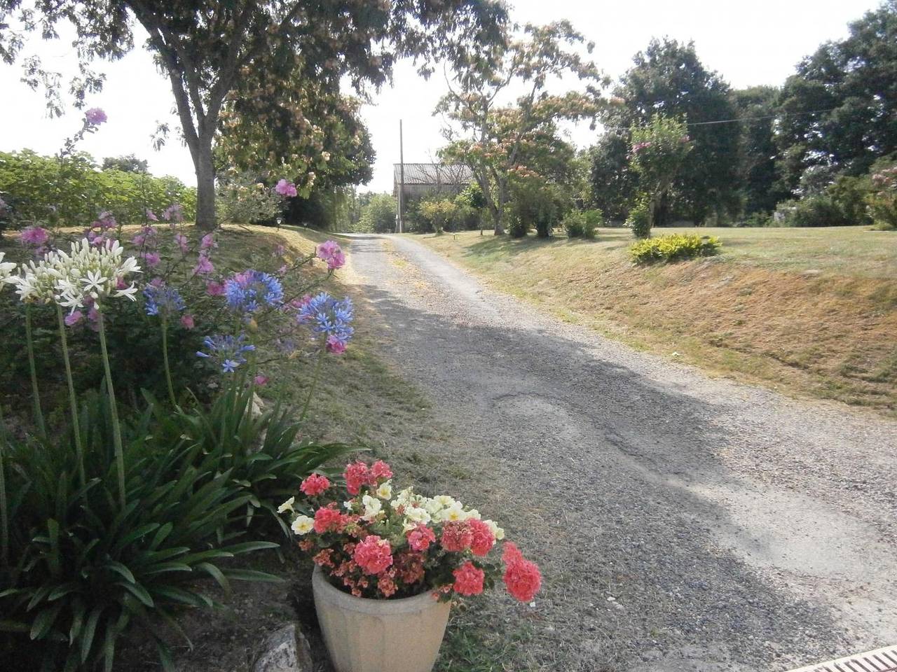 A Linès in Saint-Sever, Landes
