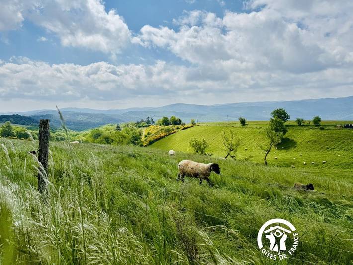 Gîte pour 4 personnes, avec piscine et terrasse à Bouisse - 2