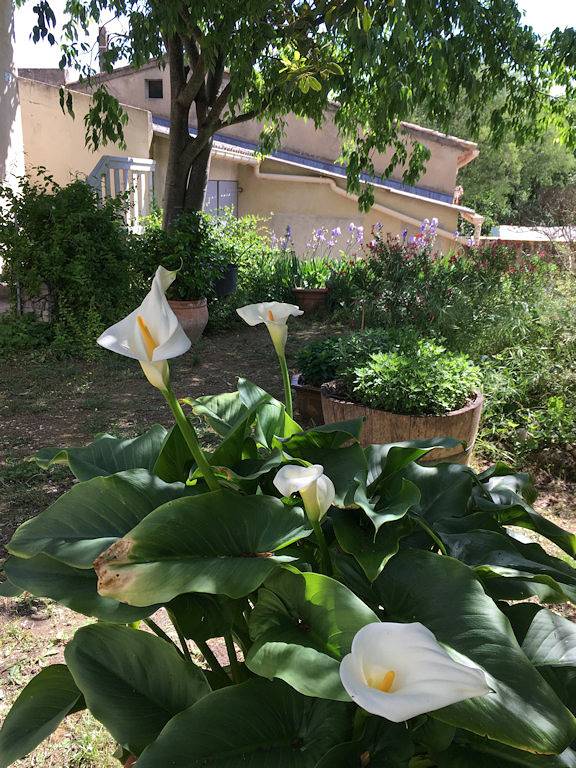 Gîte pour 4 personnes avec jacuzzi in Goudargues, Région de Nîmes