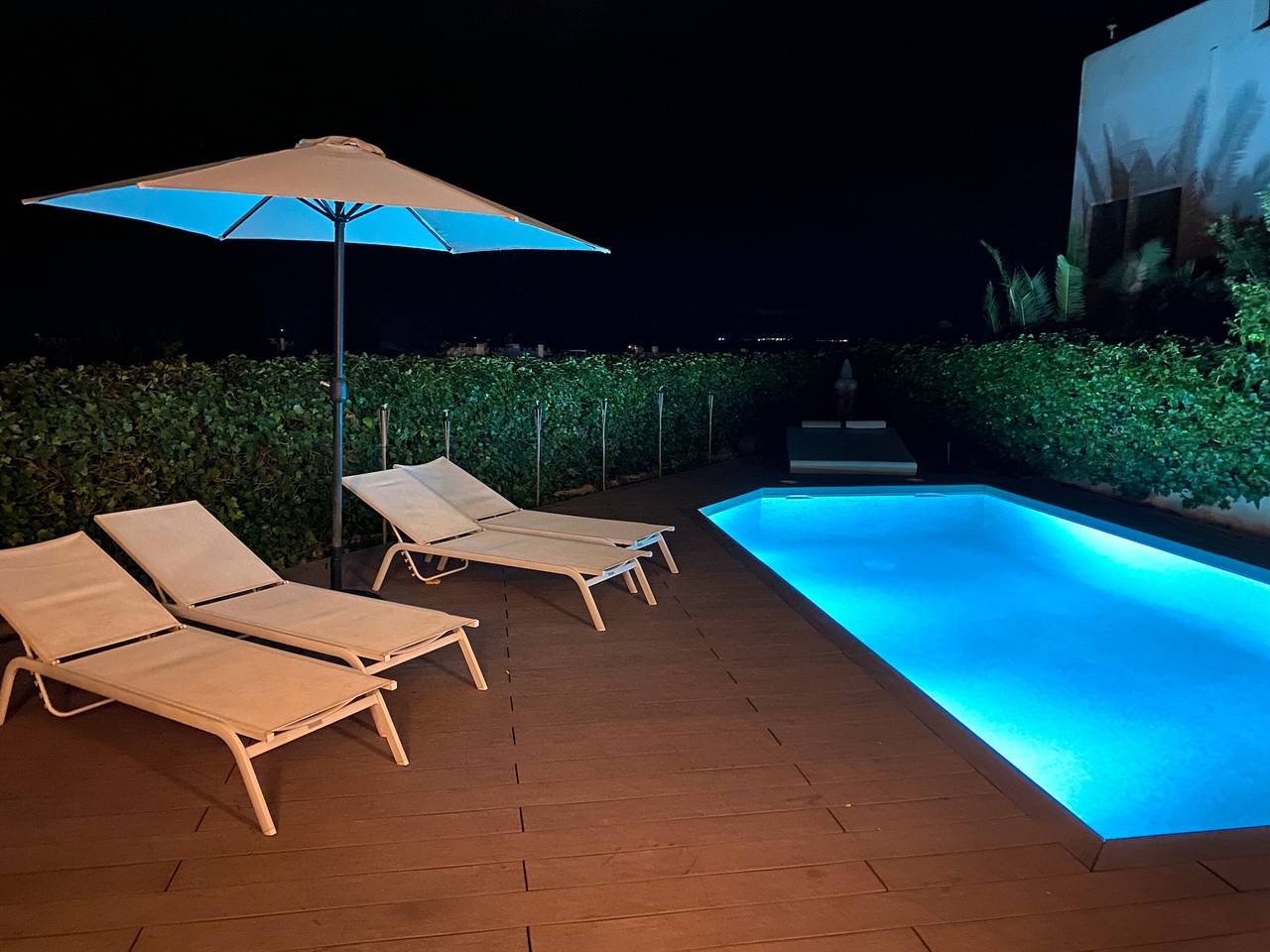 Villa 'Luxury  with Pool and Seaview' with Sea View, Wi-Fi and Air Conditioning in Cap Martinet, Santa Eulària des Riu