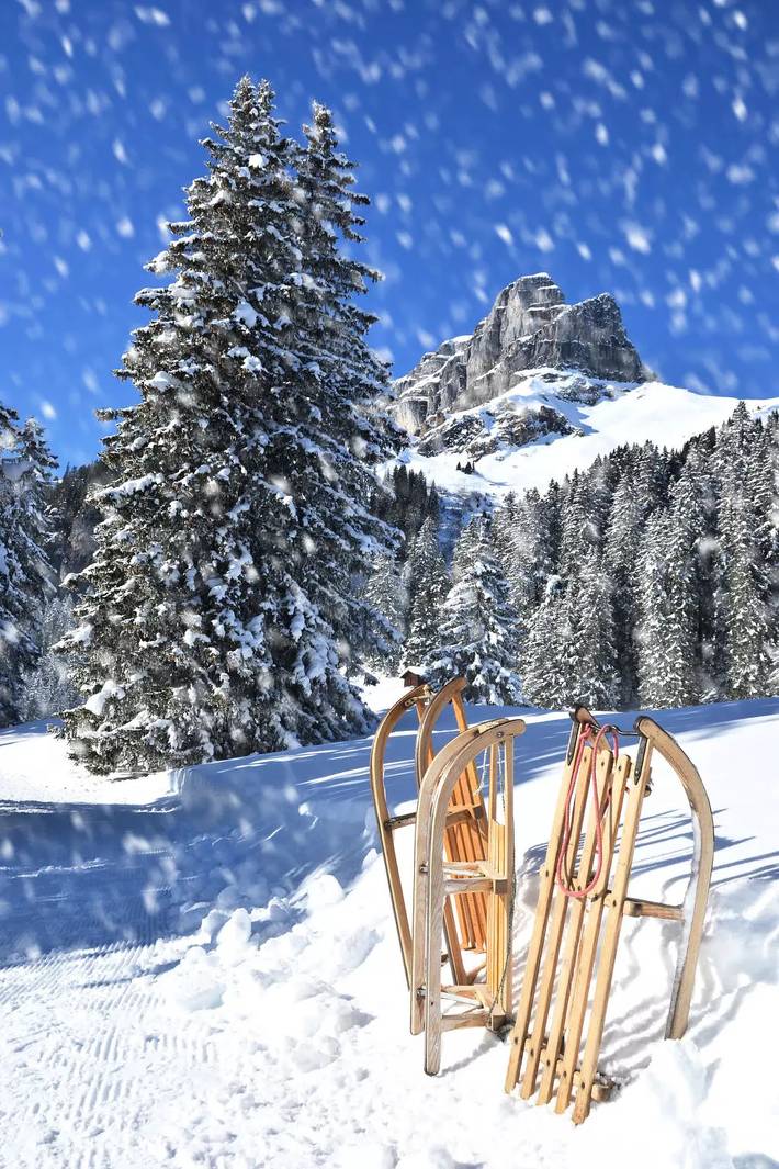 Villa für 8 Personen, mit Garten in Davos