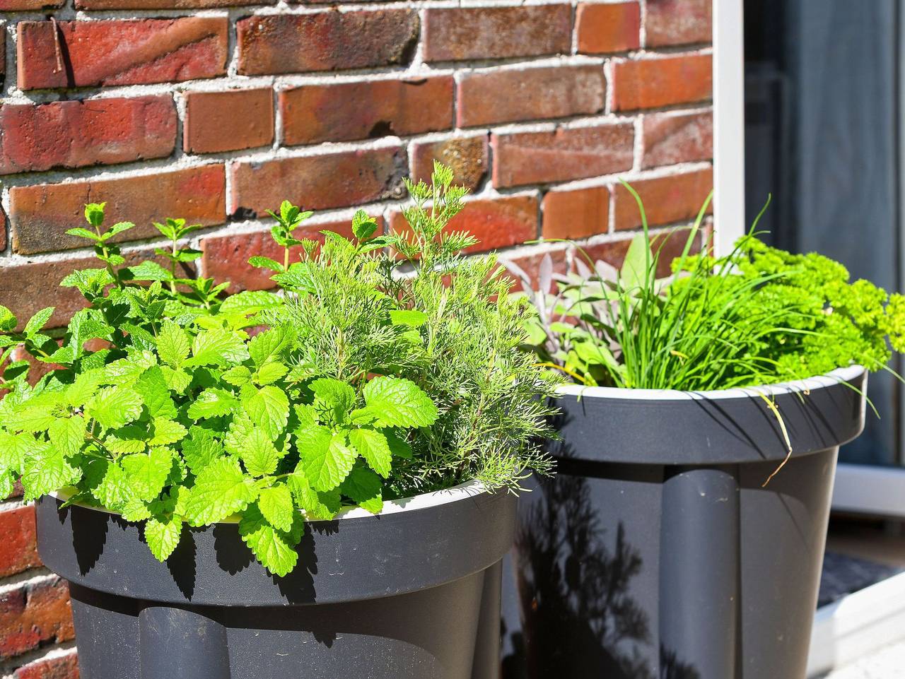 Ferienhaus Moorgeist in Stedesdorf - Ferienhaus Moorgeist in Stedesdorf, Nordseeküste