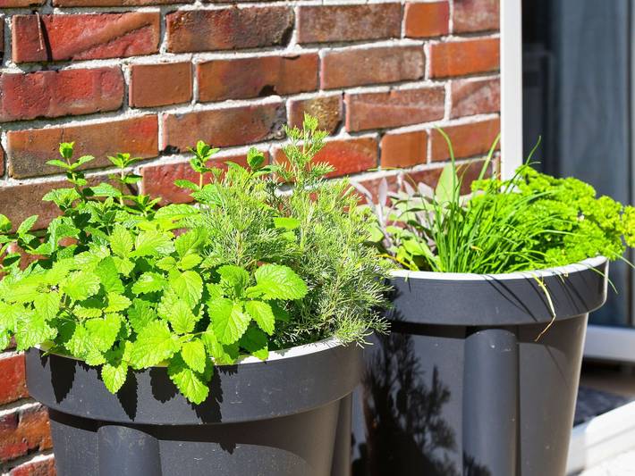 Ferienhaus für 5 Personen, mit Terrasse und Garten in Stedesdorf - 4