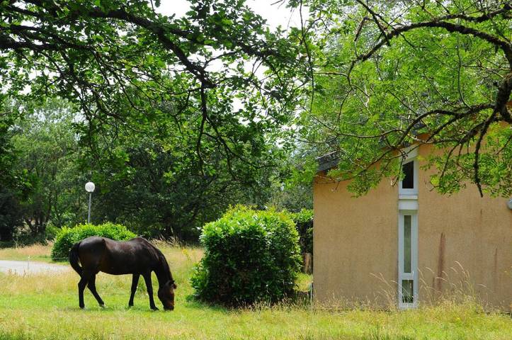 Location de vacances pour 6 personnes, avec Terrasse ainsi que Jardin et Vue à Cuxac-Cabardès