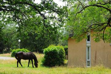 Gîte pour 6 personnes, avec jardin et vue, animaux acceptés à Cuxac-Cabardès