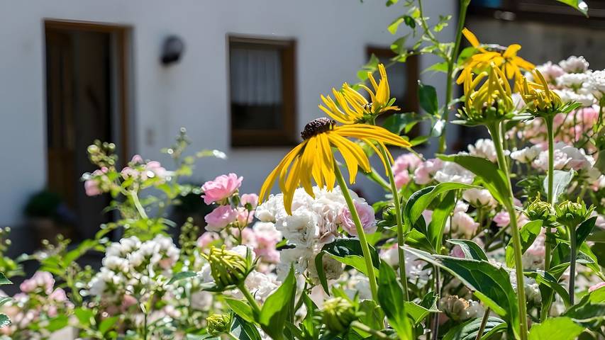 Ferienwohnung für 3 Personen, mit Balkon in Bad Peterstal-Griesbach - 3