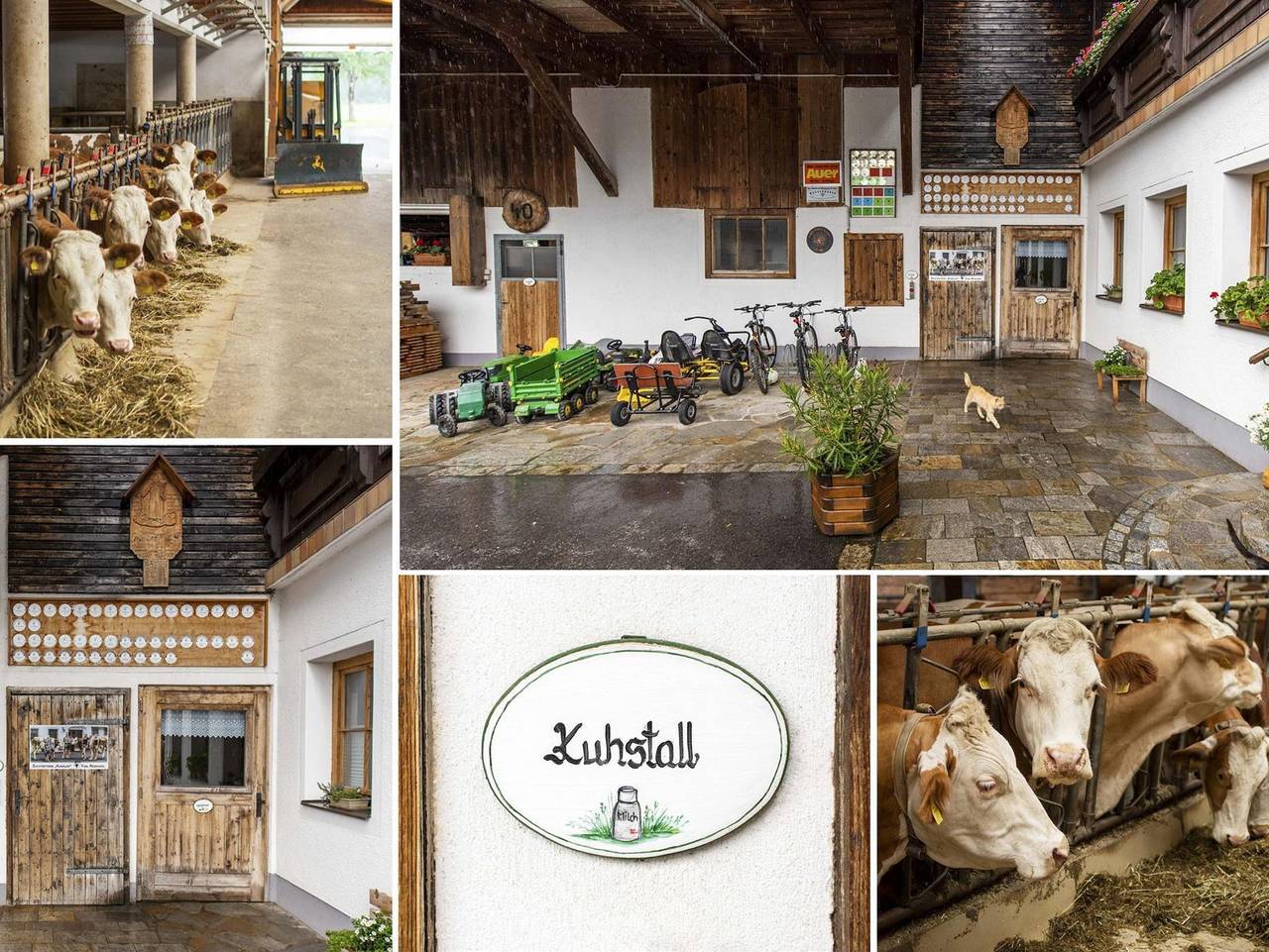 Ganze Ferienwohnung, Ferienhof Kandler - Ferienwohnung Morgensonne/1 Schlafraum/Dusche/Wc in Roßleithen, Kirchdorf an der Krems (Bezirk)