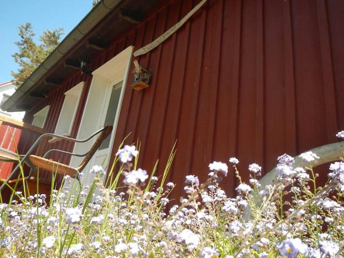 Ferienwohnung für 4 Personen, mit Garten und Terrasse in Vitte - 3