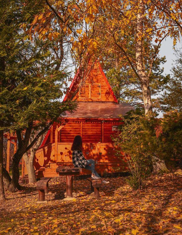Chalet für 4 Personen, mit Pool und Ausblick sowie Garten, mit Haustier in Ungarn - 3