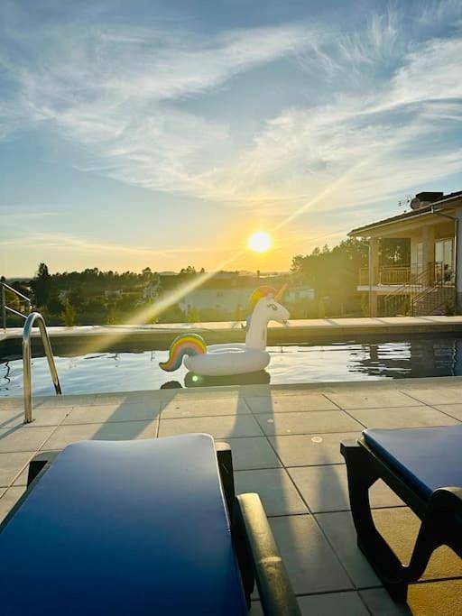 Location de vacances pour 9 personnes, avec jardin et piscine, animaux acceptés à Mirandela - 3