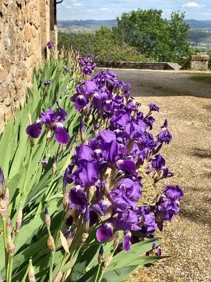 Manoir de Rieuzal in Loubressac, Lot