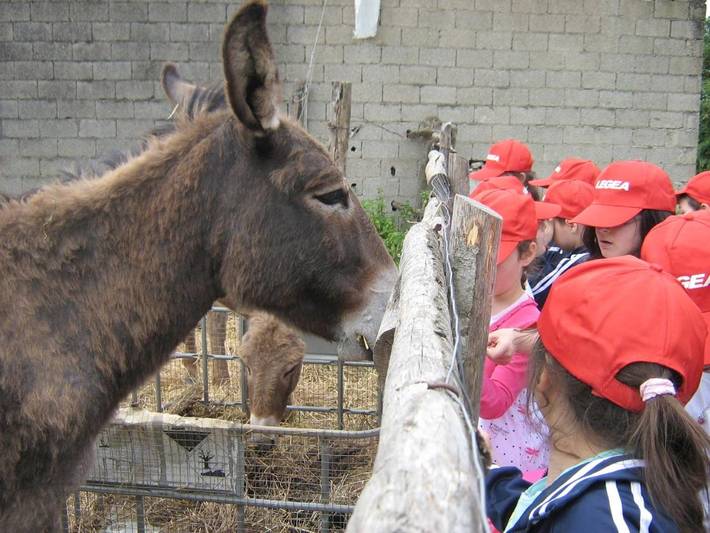 Appartamento per 7 persone, con idromassaggio e giardino a Montecorvino Rovella