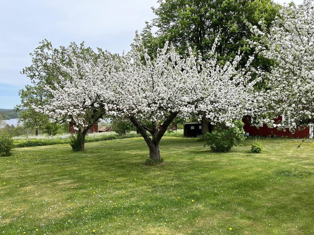 Se05038 in Vimmerby und Umgebung