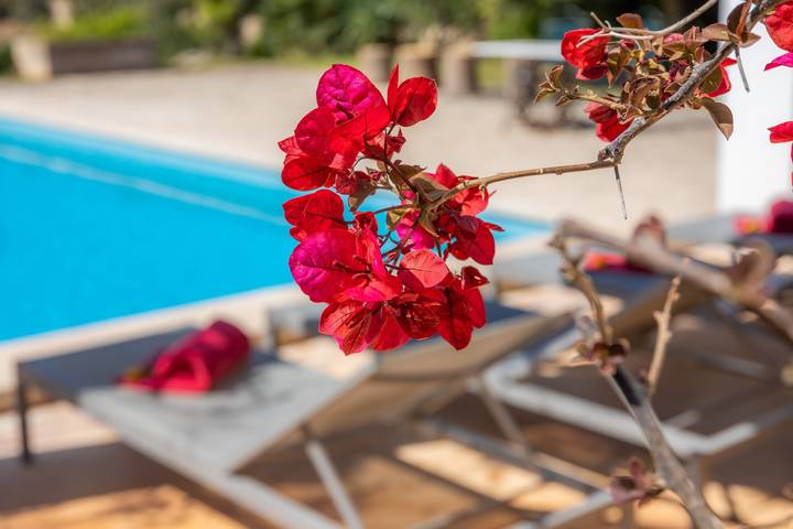 Hermosa finca con Wi-Fi, piscina, césped, y patio; Estacionamiento disponible in Port Nou, Son Servera