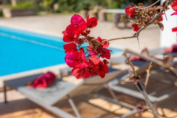 Finca in Port Nou, Son Servera für 4 