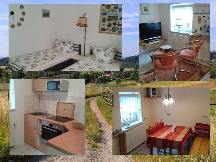 Gîte pour 2 personnes, avec terrasse, animaux acceptés à Neckarsteinach