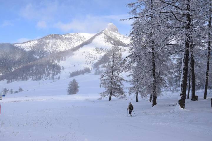 Location de vacances pour 12 personnes, avec jardin et vue, animaux acceptés à Chabottes - 3