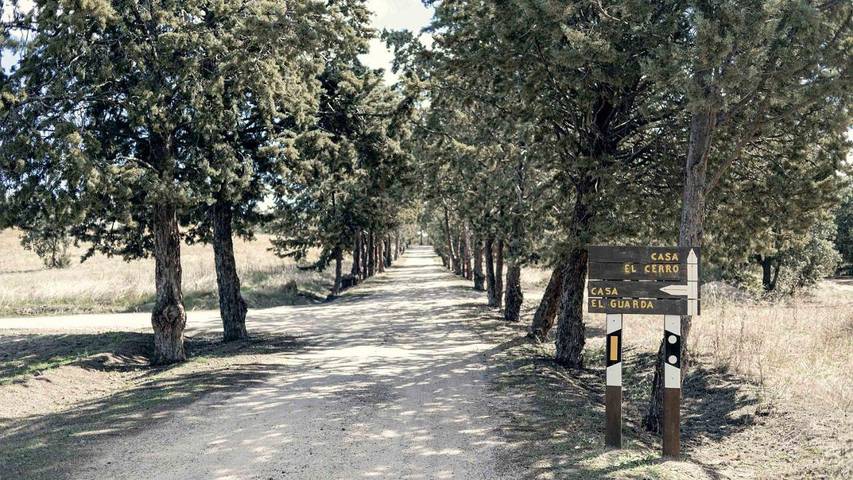 Casa rural para 6 personas, con jardín además de piscina y vistas, Familias con niños en Cuenca del Alberche - 2