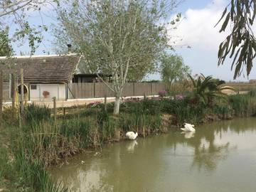 Casa Rural para 6 Personas en Deltebre, Costa Dorada, Foto 2