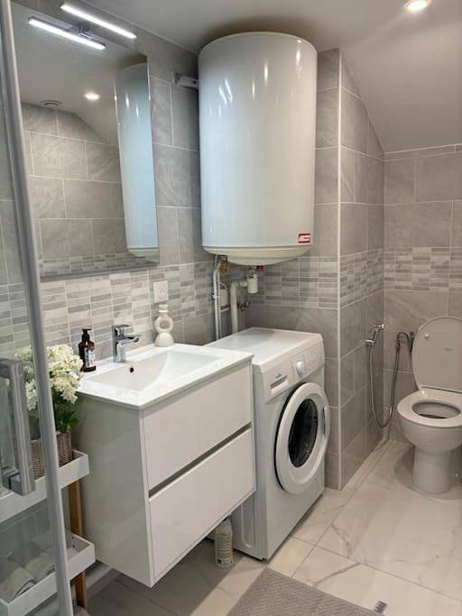 Gîte pour 4 personnes, avec jardin à Joinville-le-Pont - 2