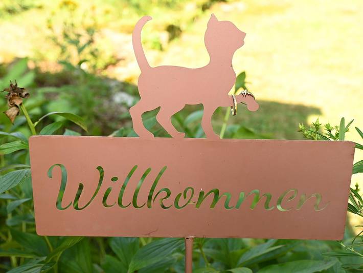 Ferienhaus FreiTraum - Bungalow mit Weitblick, 1 Schlafraum in Lohmen (Sachsen), Elbsandsteingebirge