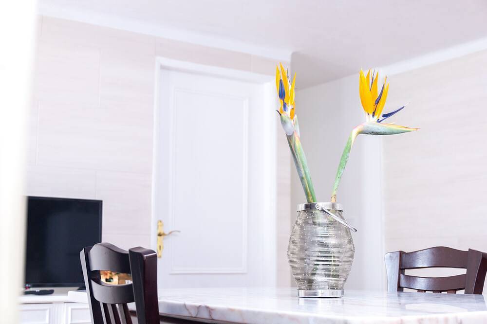 Cem Sentido - Alentejo Apartments, foto 14