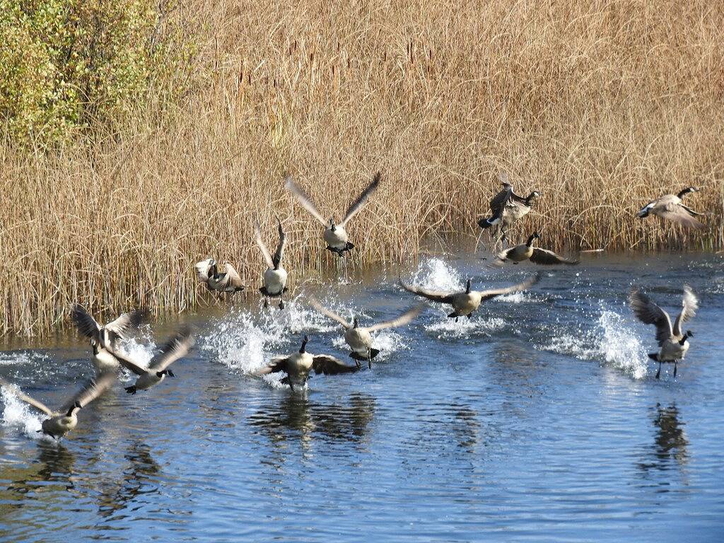 2.300 m² großes Haus am Bluff mit Blick auf Hat Creek in Lassen-Volcanic-Nationalpark