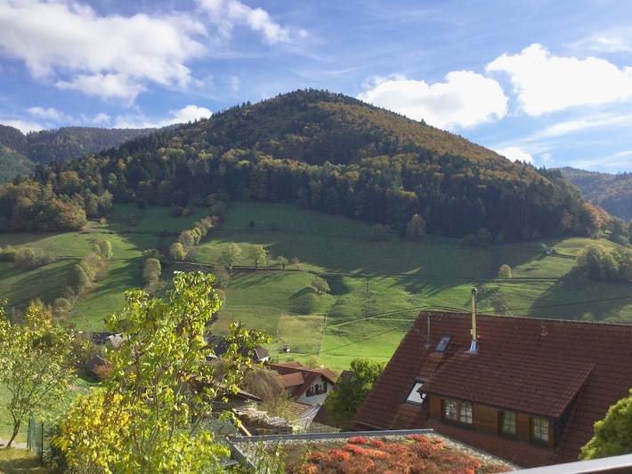 Ganze Ferienwohnung, Erikas Haus - Ferienwohnung Oberstüble, 45qm, Wohn/-Schlafraum, Balkon, max. 3 Personen, Dg in Obermünstertal, Münstertal