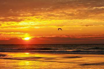 Vacation Home for 8 Guests in Gulf Resort Beach, West Panama City Beach, Picture 4