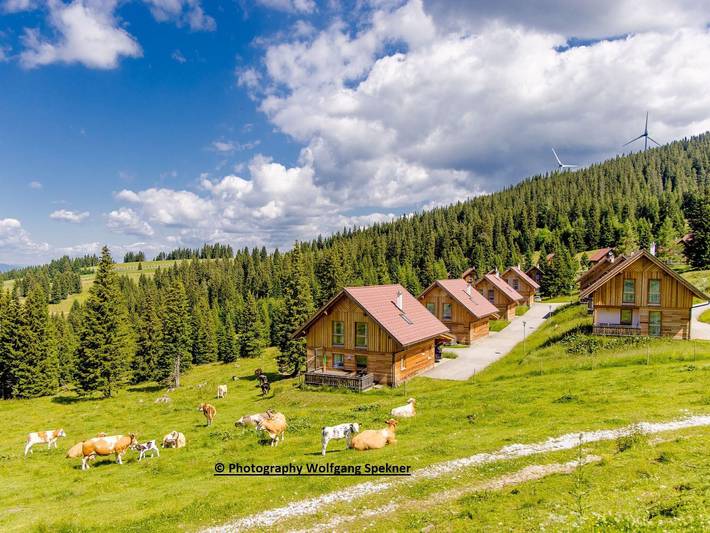 Ferienhaus für 6 Personen, mit Terrasse und Sauna