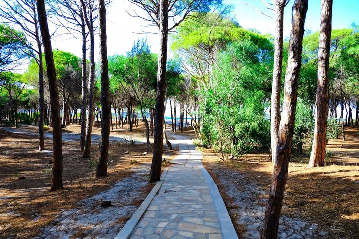 Camping für 4 Personen, mit Terrasse und Pool, mit Haustier in Süditalien - 3