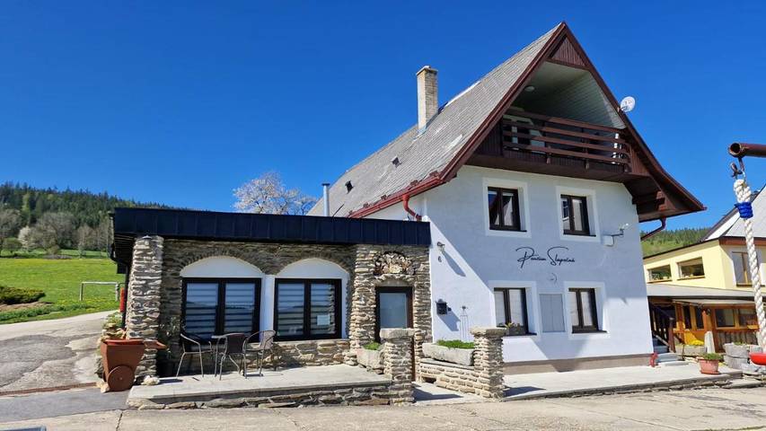 Ferienhaus für 8 Personen, mit Seeblick und Garten sowie Pool und Ausblick in Lipno - 4
