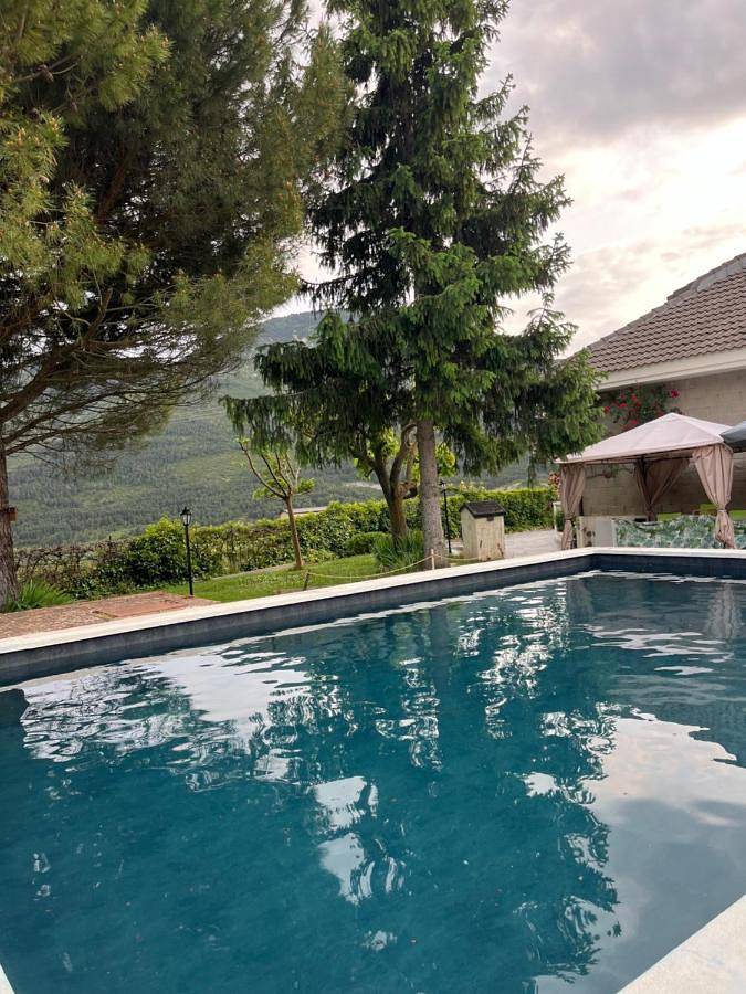 Chalet para 12 personas, con vistas y piscina además de vistas al lago y jardín, Se admiten mascotas en Hoya de Huesca - 2