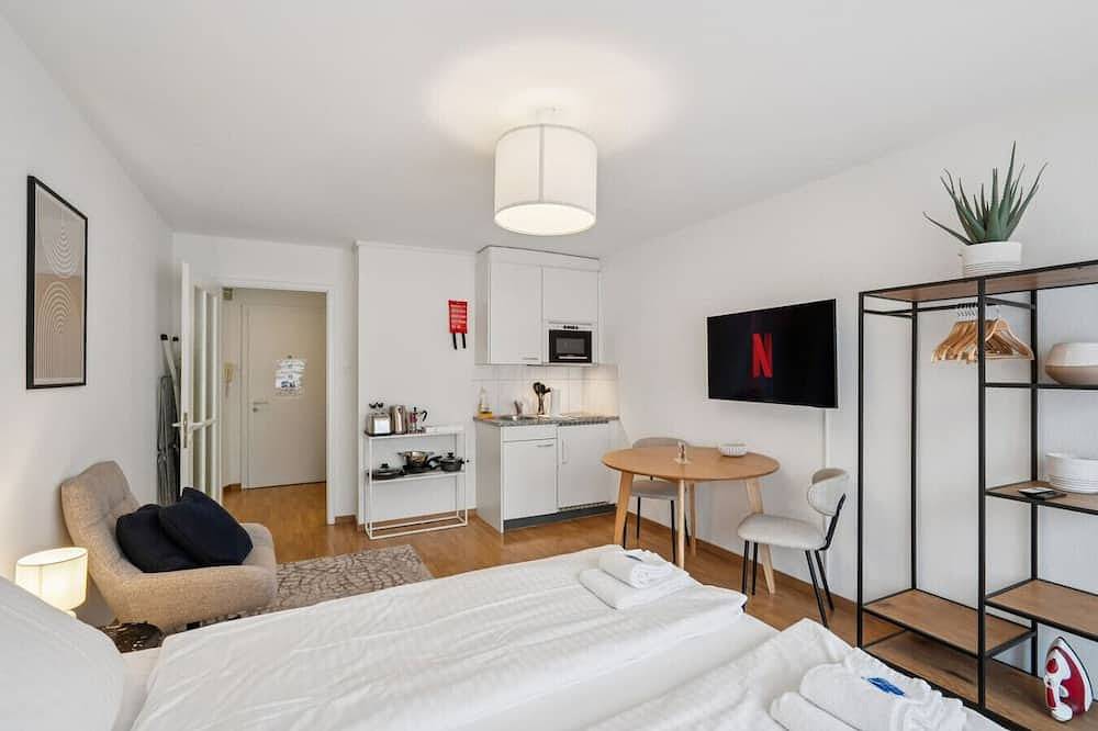 Appartamento intero, City studio in Zurigo, Distretto di Zurigo