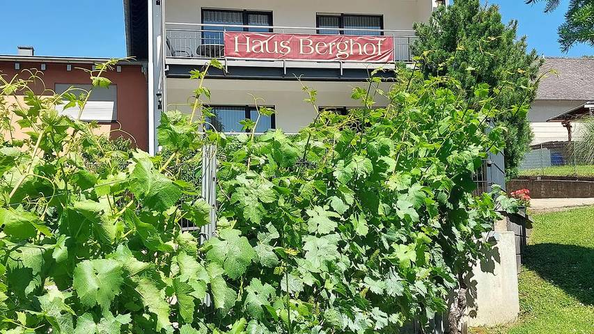 Ferienwohnung für 2 Personen, mit Balkon in Neumagen-Dhron - 3