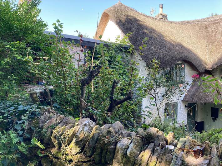 Cottage voor 4 personen met tuin in Ringmore, Zuid-Devon
