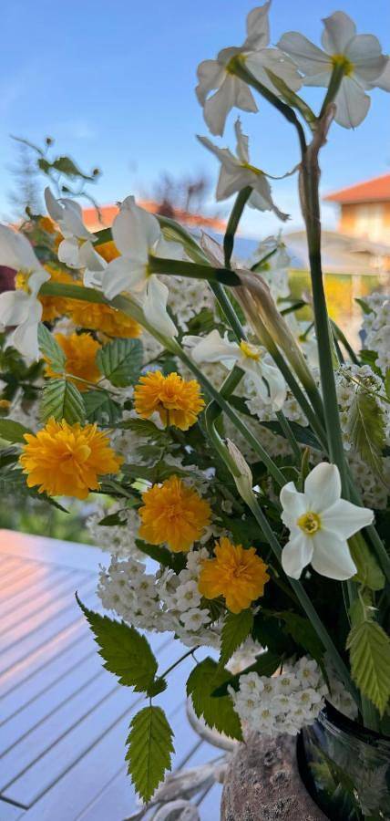 Gîte pour 4 personnes, avec vue et jardin à Mondovì - 2