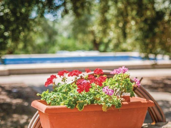 Finca für 12 Personen, mit Pool und Meerblick sowie Garten, kinderfreundlich an der Costa Dorada - 3