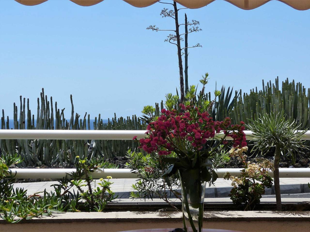 Ganze Ferienwohnung, Paseo del Mar - Paseo del Mar in Puerto Naos, Los Llanos de Aridane