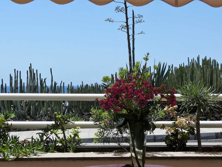 Ferienwohnung für 3 Personen, mit Terrasse auf La Palma - 3