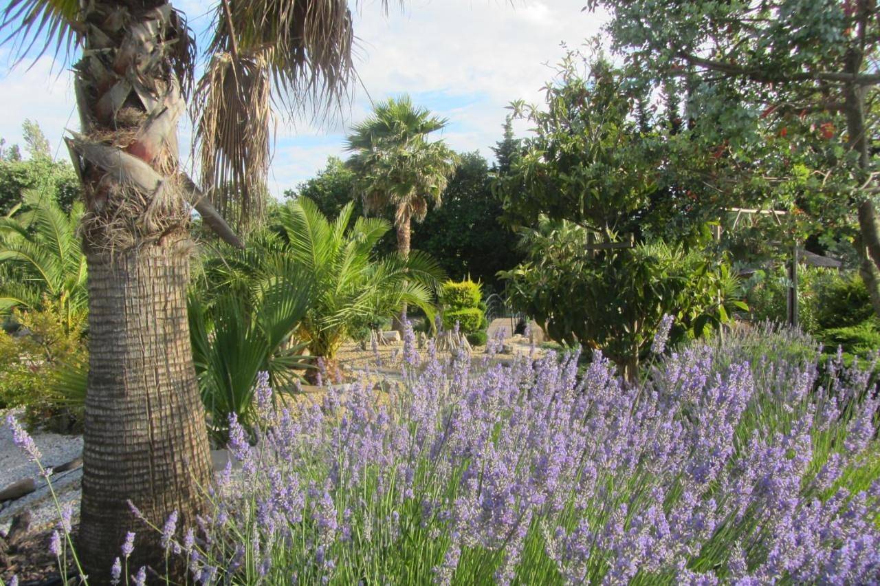 Double Room with Terrace in Salles-d'Aude, Côte méditerranéenne (France)