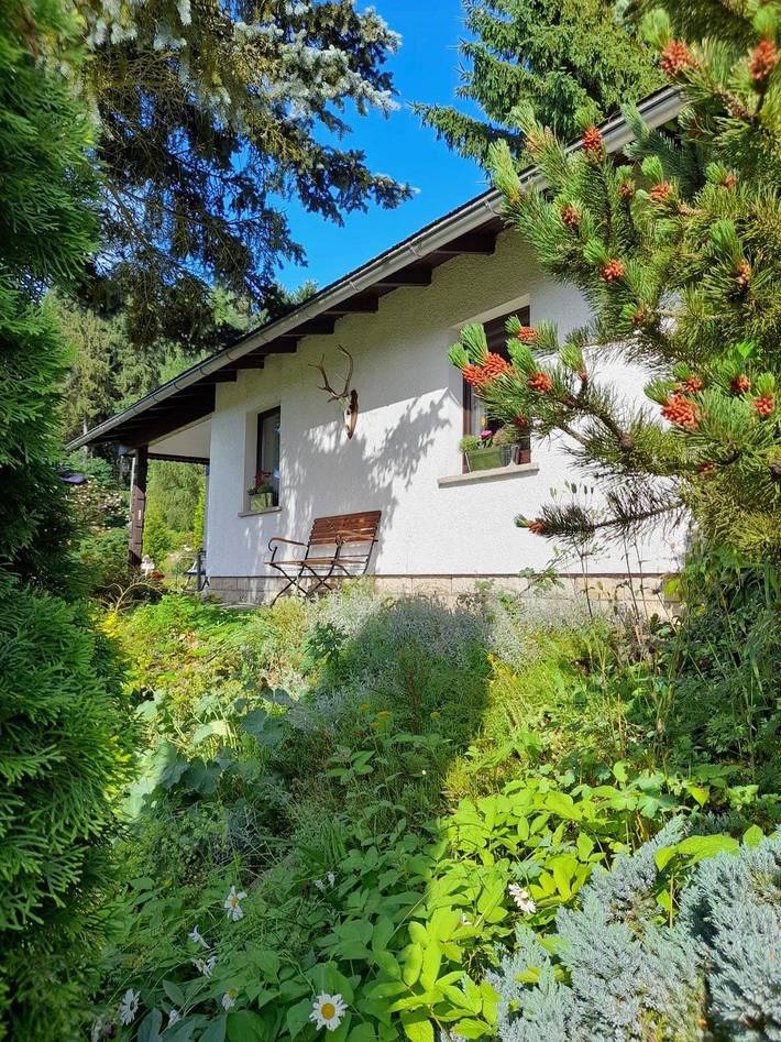 Ferienhaus für 2 Personen, mit Terrasse und Garten, mit Haustier im Vogtland - 4