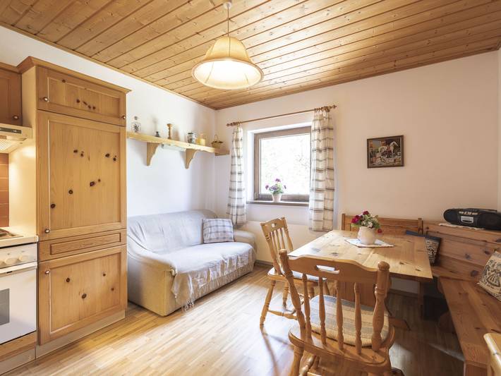 Ferienwohnung für 3 Personen, mit Garten und Terrasse, mit Haustier in Schladming-Dachstein - 2