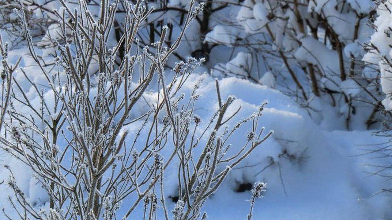Bungalow für 8 Personen (120 m²) in Pottenstein in Pottenstein, Frankenalb
