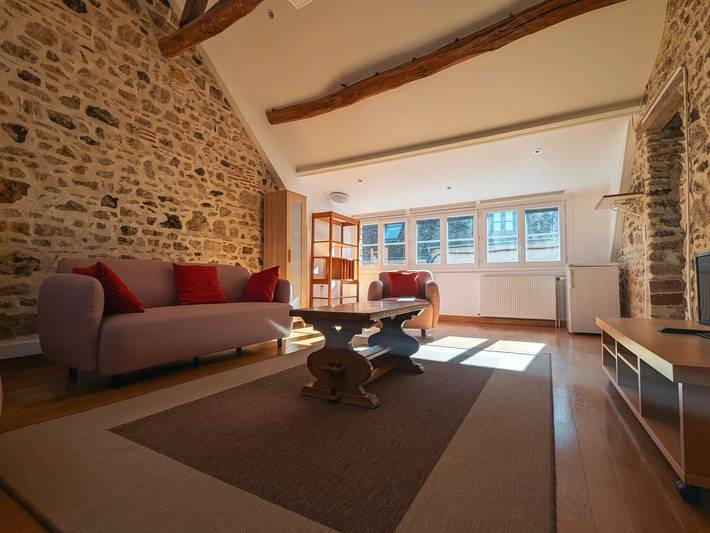 Gîte pour 5 personnes, animaux acceptés à La Châtre - 3