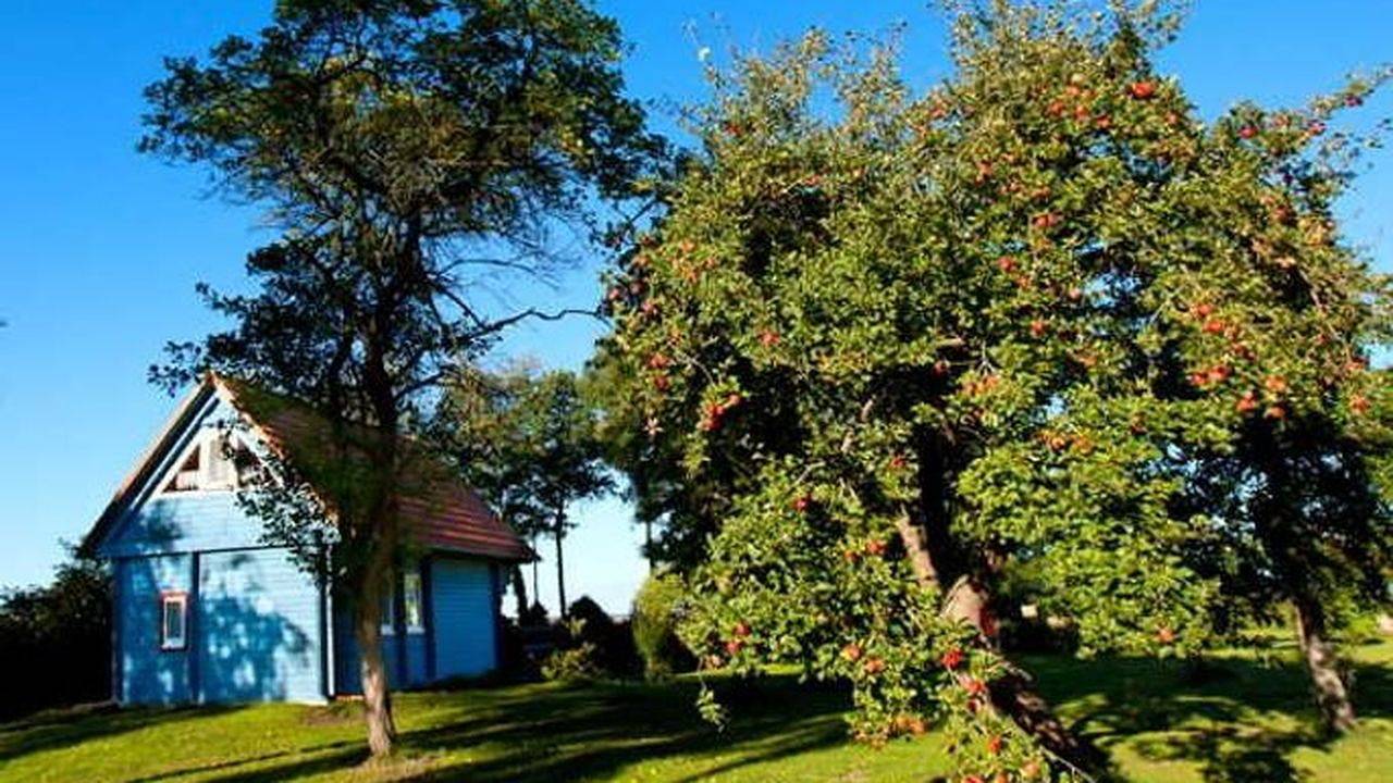 Ferienhaus für 4 Personen (65 m²) in Neuendorf Heide in Neuendorf-Heide, Saal